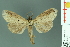  ( - RMNH.INS.14481)  @13 [ ] Unspecified (default): All Rights Reserved  Unspecified Unspecified