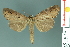  ( - RMNH.INS.14483)  @13 [ ] Unspecified (default): All Rights Reserved  Unspecified Unspecified