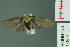  ( - RMNH.INS.14559)  @13 [ ] Unspecified (default): All Rights Reserved  Unspecified Unspecified