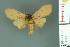  ( - RMNH.INS.14588)  @13 [ ] Unspecified (default): All Rights Reserved  Unspecified Unspecified