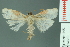  ( - RMNH.INS.14619)  @13 [ ] Unspecified (default): All Rights Reserved  Unspecified Unspecified