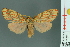  ( - RMNH.INS.14666)  @11 [ ] Unspecified (default): All Rights Reserved  Unspecified Unspecified