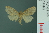  ( - RMNH.INS.14688)  @13 [ ] Unspecified (default): All Rights Reserved  Unspecified Unspecified
