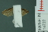  ( - RMNH.INS.14722)  @12 [ ] Unspecified (default): All Rights Reserved  Unspecified Unspecified