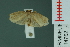  ( - RMNH.INS.14762)  @13 [ ] Unspecified (default): All Rights Reserved  Unspecified Unspecified