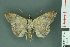  ( - RMNH.INS.14873)  @13 [ ] Unspecified (default): All Rights Reserved  Unspecified Unspecified