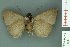  ( - RMNH.INS.14880)  @12 [ ] Unspecified (default): All Rights Reserved  Unspecified Unspecified
