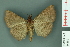  ( - RMNH.INS.14889)  @13 [ ] Unspecified (default): All Rights Reserved  Unspecified Unspecified