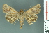  ( - RMNH.INS.14899)  @14 [ ] Unspecified (default): All Rights Reserved  Unspecified Unspecified