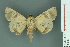  ( - RMNH.INS.14899)  @13 [ ] Unspecified (default): All Rights Reserved  Unspecified Unspecified