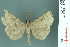  ( - RMNH.INS.11955)  @13 [ ] Unspecified (default): All Rights Reserved  Unspecified Unspecified