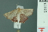  ( - RMNH.INS.13895)  @13 [ ] Unspecified (default): All Rights Reserved  Unspecified Unspecified