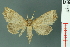  ( - RMNH.INS.14927)  @11 [ ] Unspecified (default): All Rights Reserved  Unspecified Unspecified