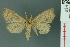  ( - RMNH.INS.14927)  @11 [ ] Unspecified (default): All Rights Reserved  Unspecified Unspecified