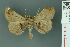  (Claterna - RMNH.INS.14953)  @14 [ ] Unspecified (default): All Rights Reserved  Unspecified Unspecified