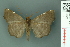  ( - RMNH.INS.14962)  @13 [ ] Unspecified (default): All Rights Reserved  Unspecified Unspecified