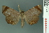  ( - RMNH.INS.14963)  @14 [ ] Unspecified (default): All Rights Reserved  Unspecified Unspecified