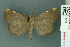  ( - RMNH.INS.14963)  @13 [ ] Unspecified (default): All Rights Reserved  Unspecified Unspecified