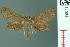  ( - RMNH.INS.14964)  @11 [ ] Unspecified (default): All Rights Reserved  Unspecified Unspecified