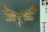  ( - RMNH.INS.14964)  @11 [ ] Unspecified (default): All Rights Reserved  Unspecified Unspecified