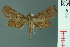  ( - RMNH.INS.14965)  @11 [ ] Unspecified (default): All Rights Reserved  Unspecified Unspecified