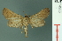  ( - RMNH.INS.14965)  @11 [ ] Unspecified (default): All Rights Reserved  Unspecified Unspecified