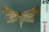  ( - RMNH.INS.14967)  @13 [ ] Unspecified (default): All Rights Reserved  Unspecified Unspecified