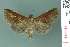  ( - RMNH.INS.19025)  @14 [ ] Unspecified (default): All Rights Reserved  Unspecified Unspecified