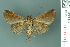  ( - RMNH.INS.19025)  @13 [ ] Unspecified (default): All Rights Reserved  Unspecified Unspecified