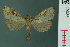  ( - RMNH.INS.19036)  @14 [ ] Unspecified (default): All Rights Reserved  Unspecified Unspecified