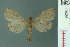  ( - RMNH.INS.19036)  @13 [ ] Unspecified (default): All Rights Reserved  Unspecified Unspecified