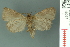  ( - RMNH.INS.19037)  @13 [ ] Unspecified (default): All Rights Reserved  Unspecified Unspecified
