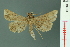  ( - RMNH.INS.19038)  @11 [ ] Unspecified (default): All Rights Reserved  Unspecified Unspecified