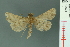  ( - RMNH.INS.19038)  @11 [ ] Unspecified (default): All Rights Reserved  Unspecified Unspecified