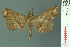  ( - RMNH.INS.19039)  @13 [ ] Unspecified (default): All Rights Reserved  Unspecified Unspecified