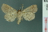  ( - RMNH.INS.19054)  @13 [ ] Unspecified (default): All Rights Reserved  Unspecified Unspecified