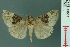  ( - RMNH.INS.19063)  @14 [ ] Unspecified (default): All Rights Reserved  Unspecified Unspecified