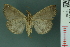  ( - RMNH.INS.19064)  @13 [ ] Unspecified (default): All Rights Reserved  Unspecified Unspecified