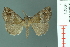 ( - RMNH.INS.19071)  @14 [ ] Unspecified (default): All Rights Reserved  Unspecified Unspecified