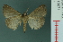  ( - RMNH.INS.19071)  @13 [ ] Unspecified (default): All Rights Reserved  Unspecified Unspecified