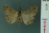  ( - RMNH.INS.19073)  @13 [ ] Unspecified (default): All Rights Reserved  Unspecified Unspecified