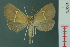  (Catada - RMNH.INS.19075)  @14 [ ] Unspecified (default): All Rights Reserved  Unspecified Unspecified