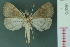  ( - RMNH.INS.19075)  @13 [ ] Unspecified (default): All Rights Reserved  Unspecified Unspecified