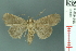  ( - RMNH.INS.19109)  @13 [ ] Unspecified (default): All Rights Reserved  Unspecified Unspecified