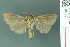  ( - RMNH.INS.19110)  @13 [ ] Unspecified (default): All Rights Reserved  Unspecified Unspecified