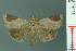  ( - RMNH.INS.19111)  @14 [ ] Unspecified (default): All Rights Reserved  Unspecified Unspecified
