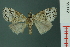  ( - RMNH.INS.19142)  @13 [ ] Unspecified (default): All Rights Reserved  Unspecified Unspecified