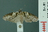  ( - RMNH.INS.19148)  @14 [ ] Unspecified (default): All Rights Reserved  Unspecified Unspecified