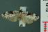  ( - RMNH.INS.19149)  @13 [ ] Unspecified (default): All Rights Reserved  Unspecified Unspecified
