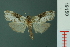  ( - RMNH.INS.19150)  @13 [ ] Unspecified (default): All Rights Reserved  Unspecified Unspecified